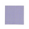 Karaca Home [Blue-White] Plaid Napkin Set of 20Pcs 33x33cm, 300.22.02.0713