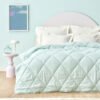 Sarah Anderson Grimes Microfiber Twin Duvet [Mint], 160.22.08.0010